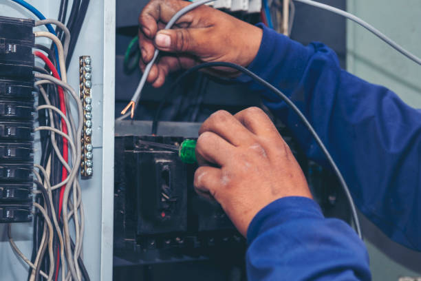 Best Licensed Electrician  in Chippewa Falls, WI